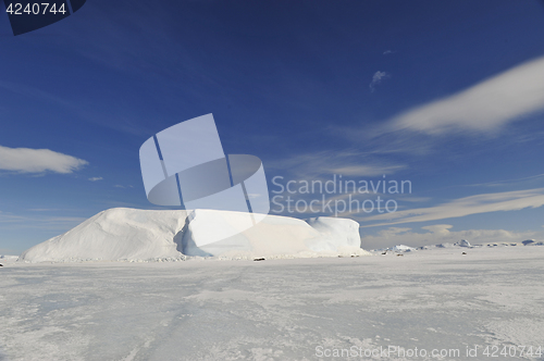 Image of Beautiful view of icebergs in Snow Hill Antarctica