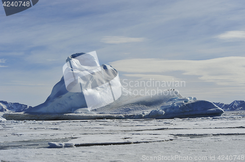 Image of Beautiful view of icebergs in Snow Hill Antarctica