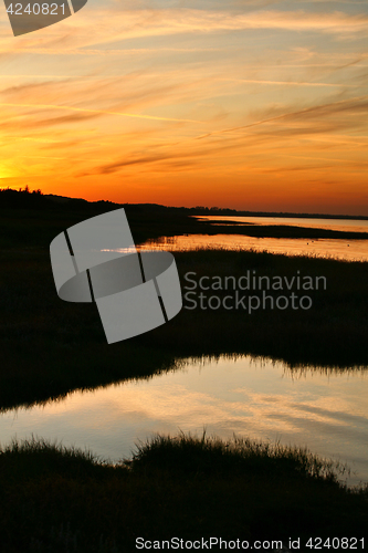 Image of Summer in Djursland - Denmark