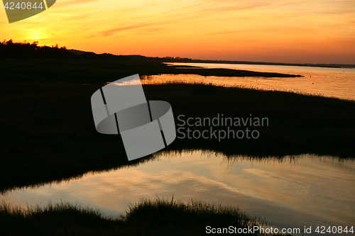 Image of Summer in Djursland - Denmark