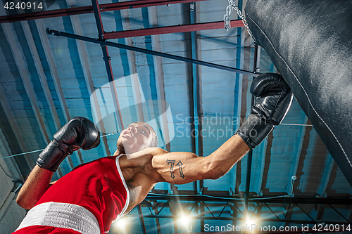 Image of Afro american male boxer.