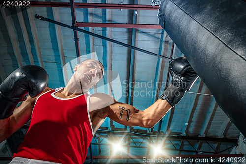 Image of Afro american male boxer.