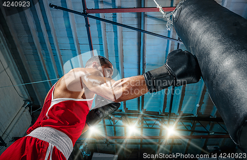 Image of Afro american male boxer.