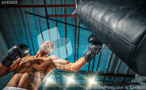 Image of Afro american male boxer.