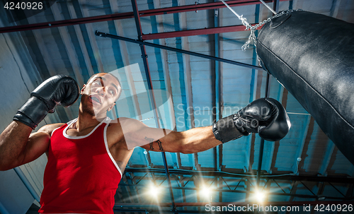 Image of Afro american male boxer.