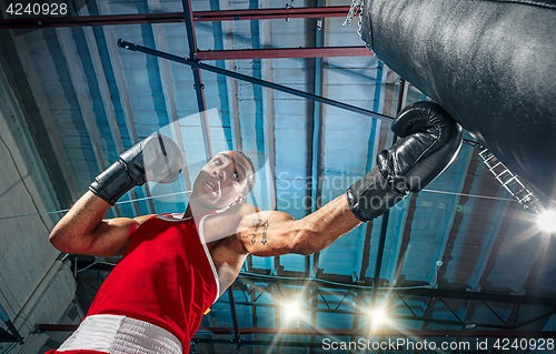 Image of Afro american male boxer.