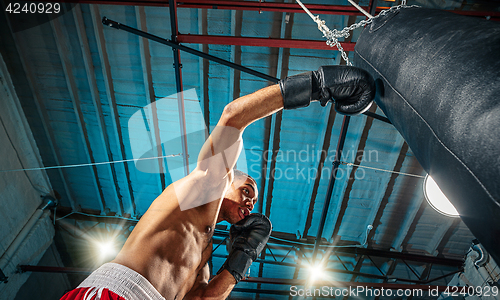 Image of Afro american male boxer.