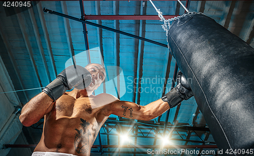 Image of Afro american male boxer.