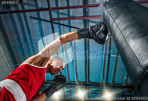 Image of Afro american male boxer.