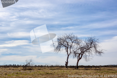 Image of 