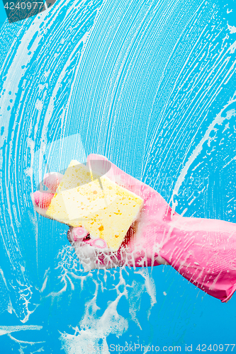 Image of Person cleans glass with sponge