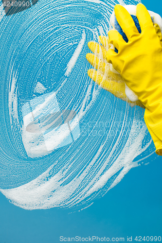 Image of Person in gloves washes glass