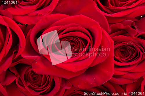 Image of Bouquet of fresh red roses