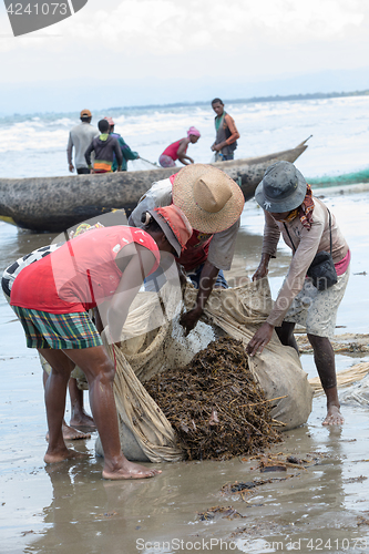 Image of Native Malagasy fishermen fishing on sea, Madagascar