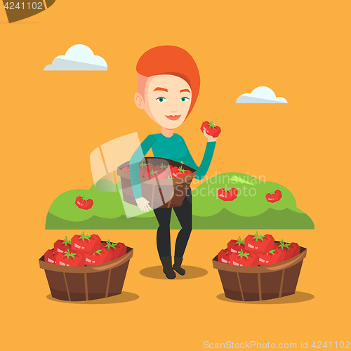 Image of Farmer collecting tomatos vector illustration.