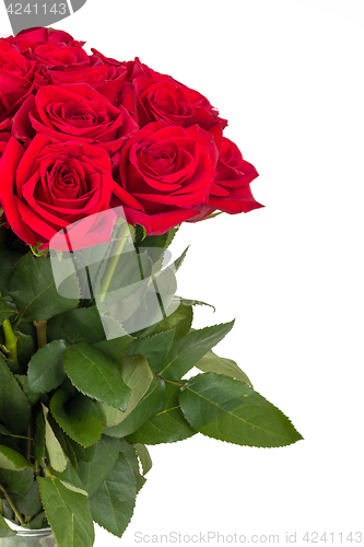 Image of Bouquet of fresh valentine red roses isolated