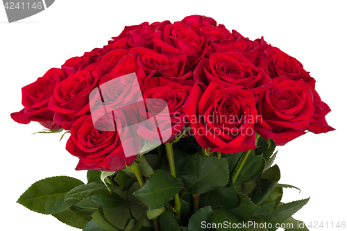 Image of Bouquet of fresh valentine red roses isolated
