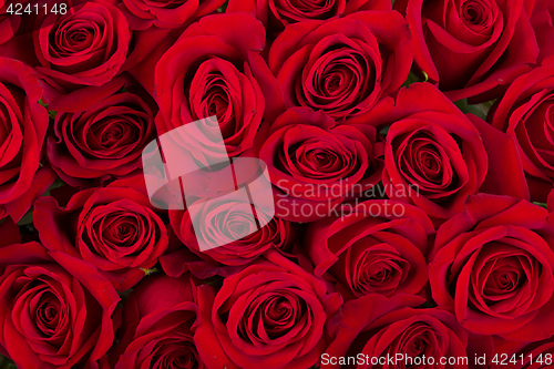 Image of Bouquet of fresh red roses