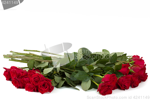 Image of Bouquet of fresh valentine red roses isolated