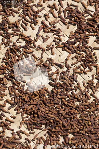 Image of drying flower buds from clove spice