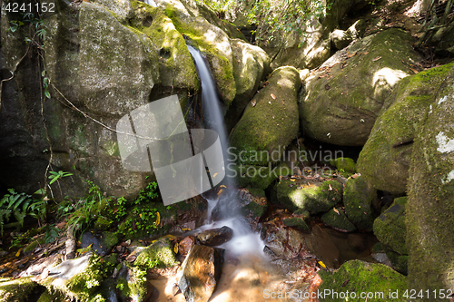 Image of Small waterfall in Masoala national park, Madagascar