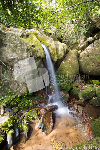 Image of Small waterfall in Masoala national park, Madagascar