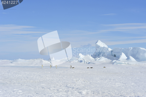 Image of Beautiful view of icebergs Snow Hill Antarctica