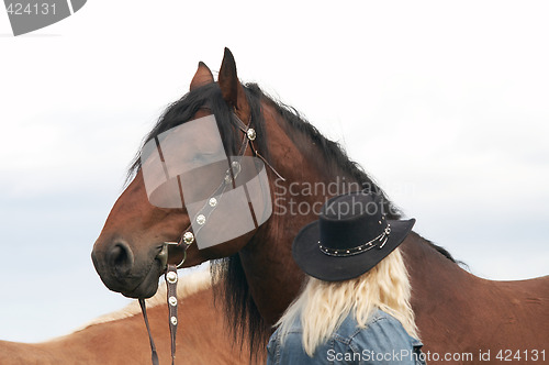 Image of Horse portrait