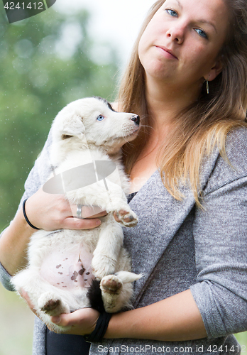 Image of Small Border Collie puppy with blue eye in the arms of a woman