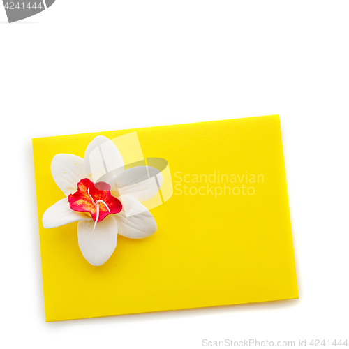 Image of Close up of yellow envelope with flower