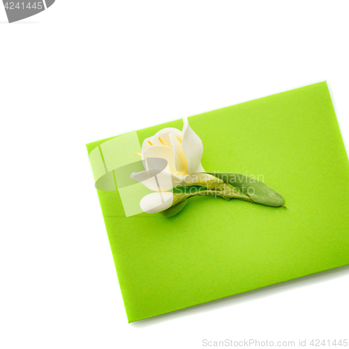 Image of Close up of green envelope with flower