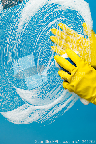 Image of Person washing glass with sponge