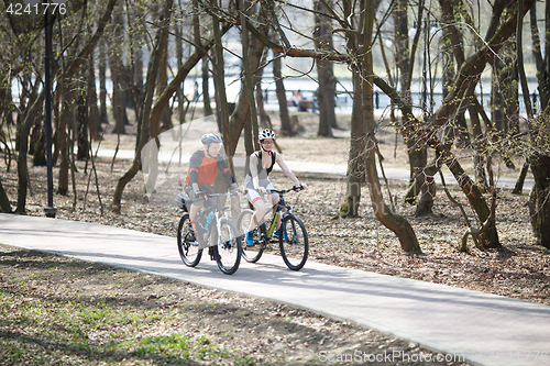 Image of Photo of forest with cyclists