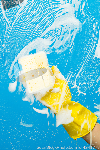 Image of Worker with sponge cleaning window