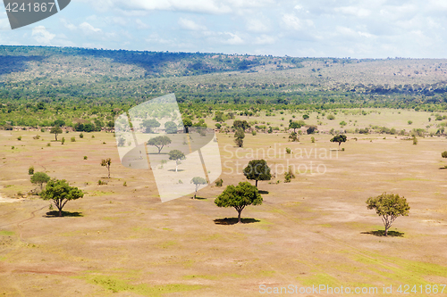 Image of view to maasai mara savannah landscape in africa