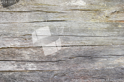 Image of fibers on old oak wood plank