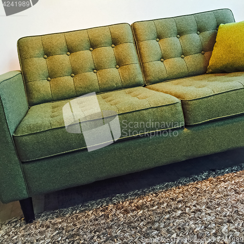 Image of Retro style elegant green sofa