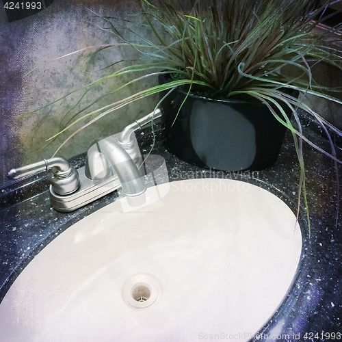 Image of Bathroom sink decorated with plant