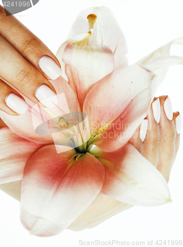 Image of beauty delicate hands with manicure holding flower lily close up isolated on white