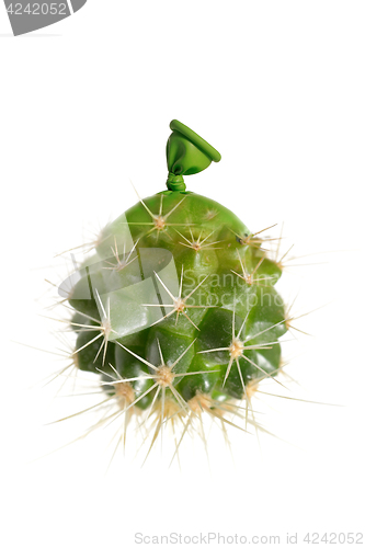 Image of Abstract cactus small balloons