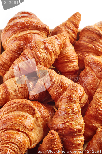 Image of freshly baked croissants