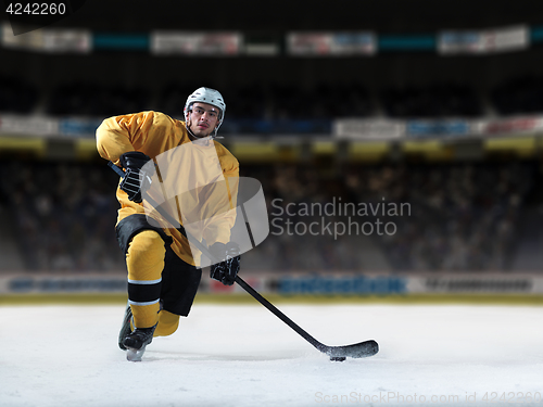 Image of ice hockey player in action