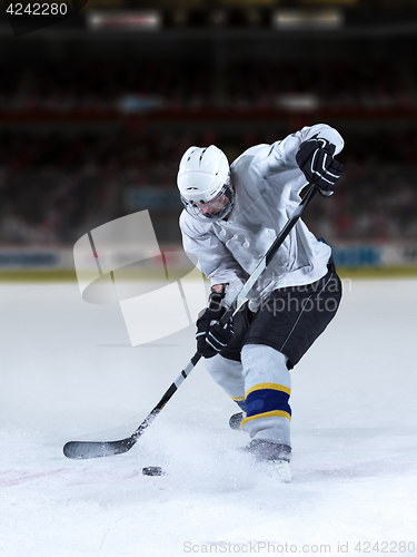 Image of ice hockey player in action