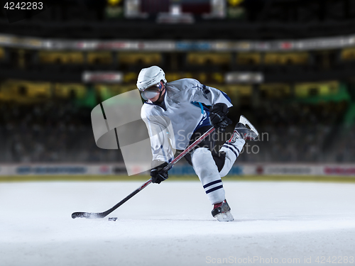 Image of ice hockey player in action