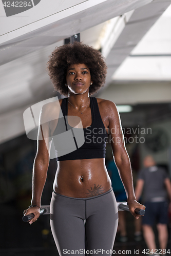 Image of black woman doing parallel bars Exercise