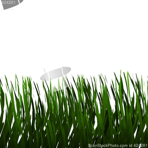 Image of grass on white