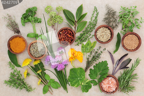Image of Fresh and Dried Herb Selection