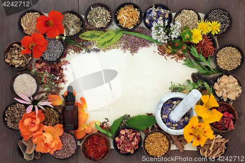 Image of Flowers and Herbs for Herbal Medicine