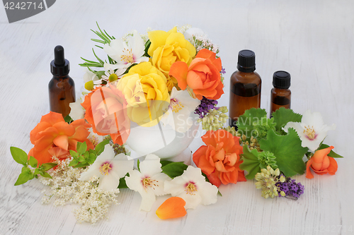 Image of Flowers for Essential Oils