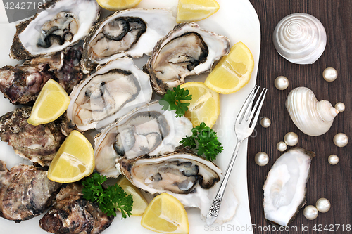 Image of Plate of Oysters